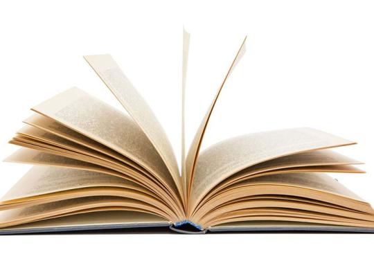 Skelbiamas Grožinės literatūros ir kitų Radviliškio rajono savivaldybei reikšmingų leidinių leidybos projektų dalinio finansavimo Radviliškio rajono savivaldybės biudžeto lėšomis konkursas