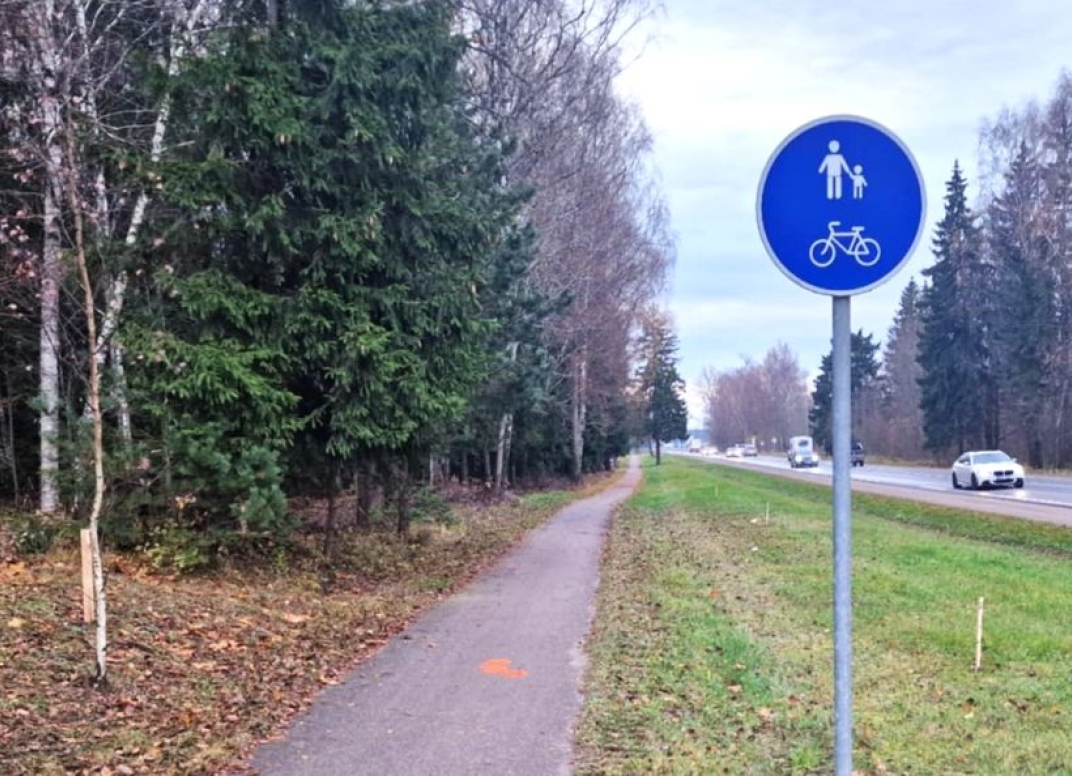 Straipsnio nuotrauka