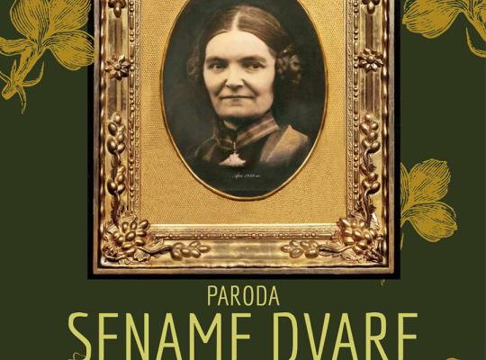 Burbiškio dvare eksponuojama iš bajorų kilusioms literatūros klasikėms skirta paroda
