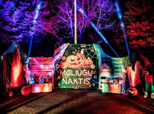 Legendomis apipinta „Moliūgų naktis“ Šeduvoje nepaliko abejingų