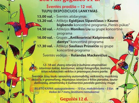 Įveikusios išbandymą sniegu, Burbiškio dvaro tulpės krauna žiedus Tulpių žydėjimo šventei