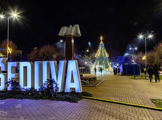 Šeduvoje suspindo miesto žaliaskarė