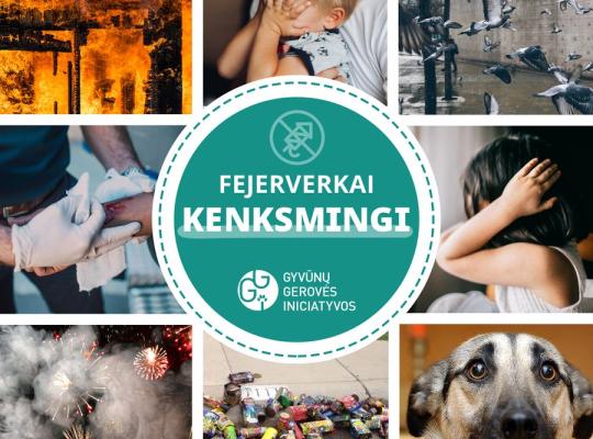 Atsisakykite „pramogų“ su fejerverkais