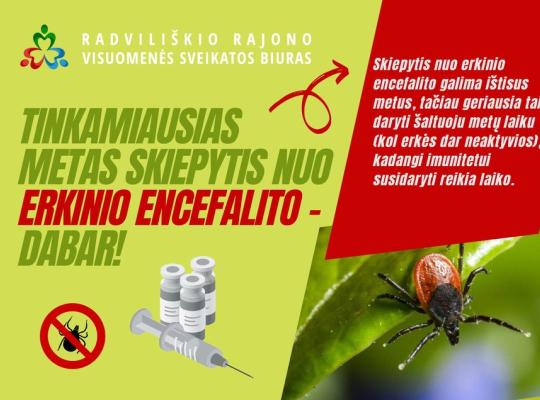Tinkamiausias metas skiepytis nuo erkinio encefalito – dabar