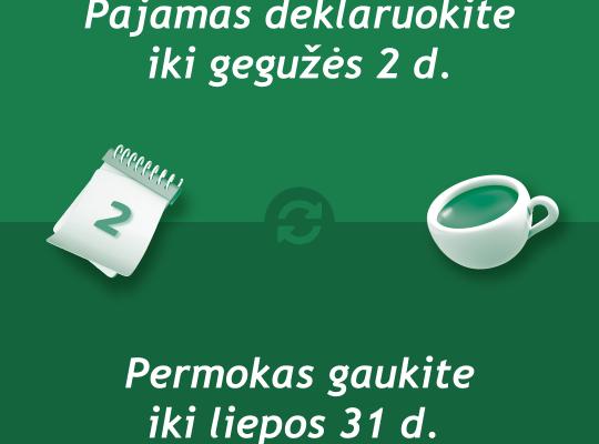 Pajamų ir turto deklaravimas – iki gegužės 2-osios