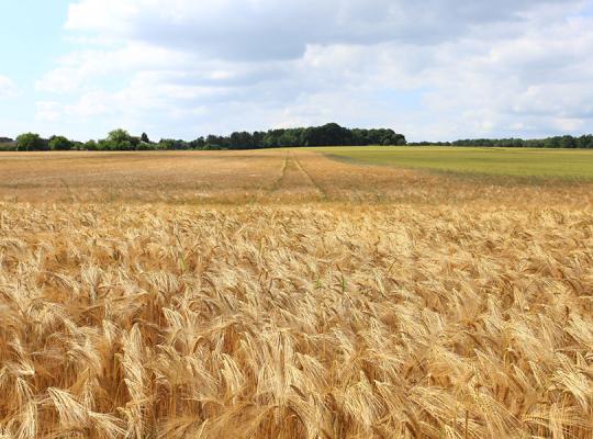 Žemdirbių laukia naujovės ir iššūkiai