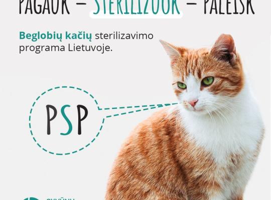 „Pagauk – sterilizuok – paleisk“ – beglobių kačių sterilizavimo programa