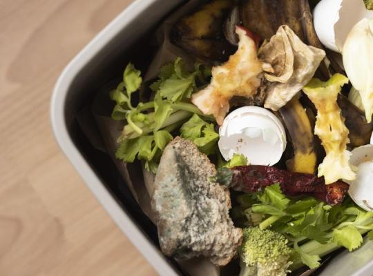 10 patarimų, kaip švaistyti mažiau maisto