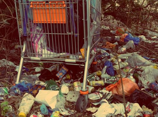 Nelegalūs sąvartynai: galvos skausmas savivaldai