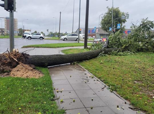 Radviliškio rajone intensyviai šalinami audros padariniai