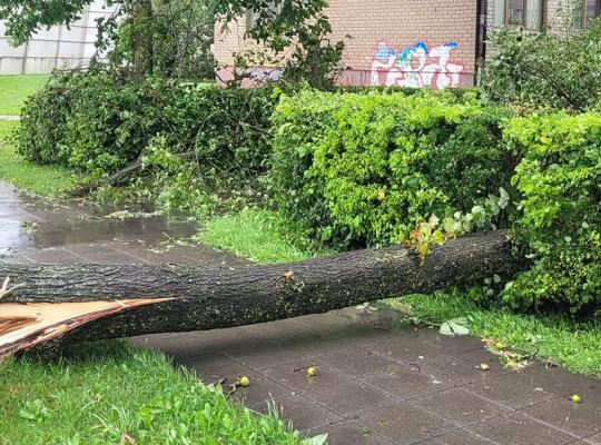 Svarbi informacija: ką daryti, norint gauti paramą nukentėjusiesiems po audros ir liūties Radviliškio rajone