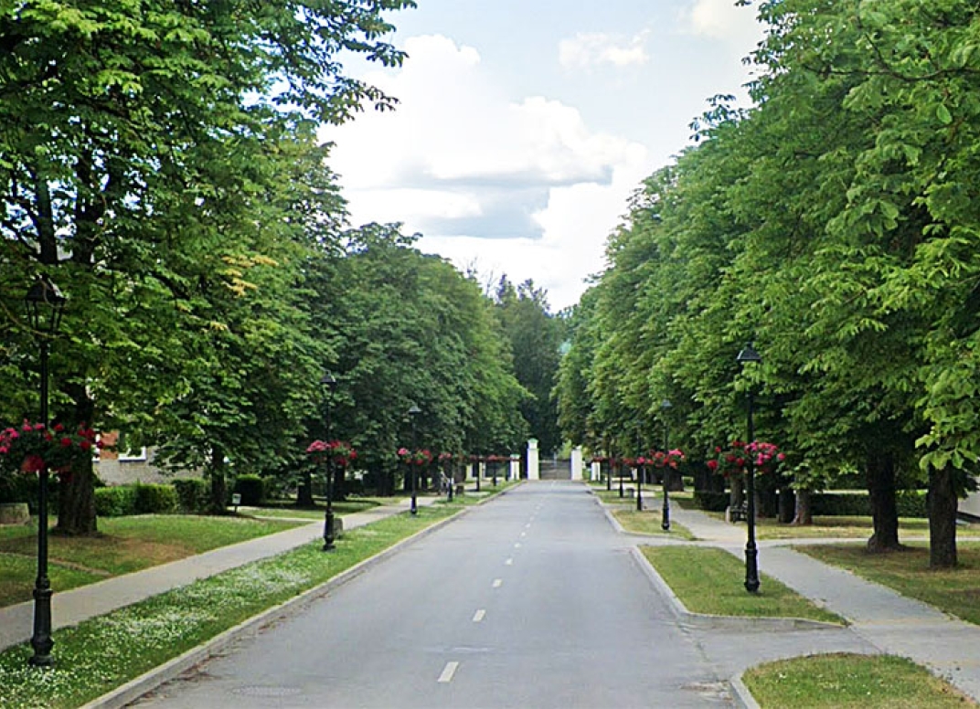 Straipsnio nuotrauka
