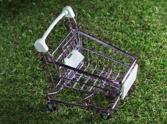 Nieko nepirkimo diena – ŠRATC kviečia prisijungti