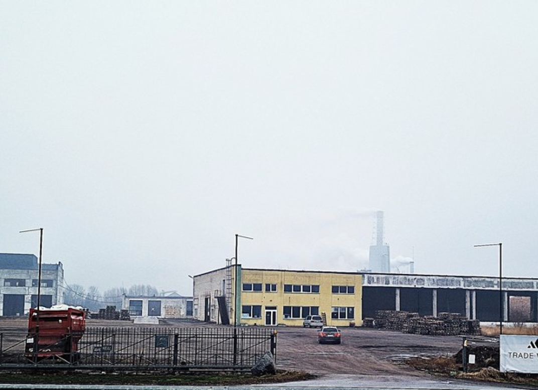 Straipsnio nuotrauka