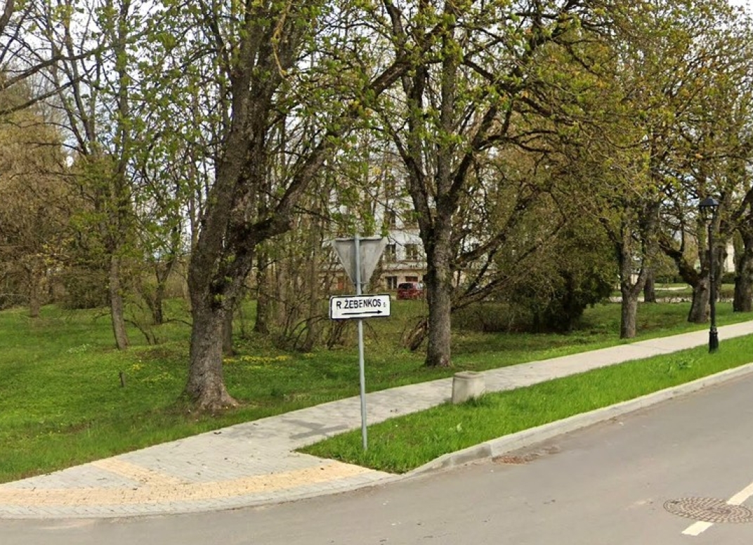 Straipsnio nuotrauka