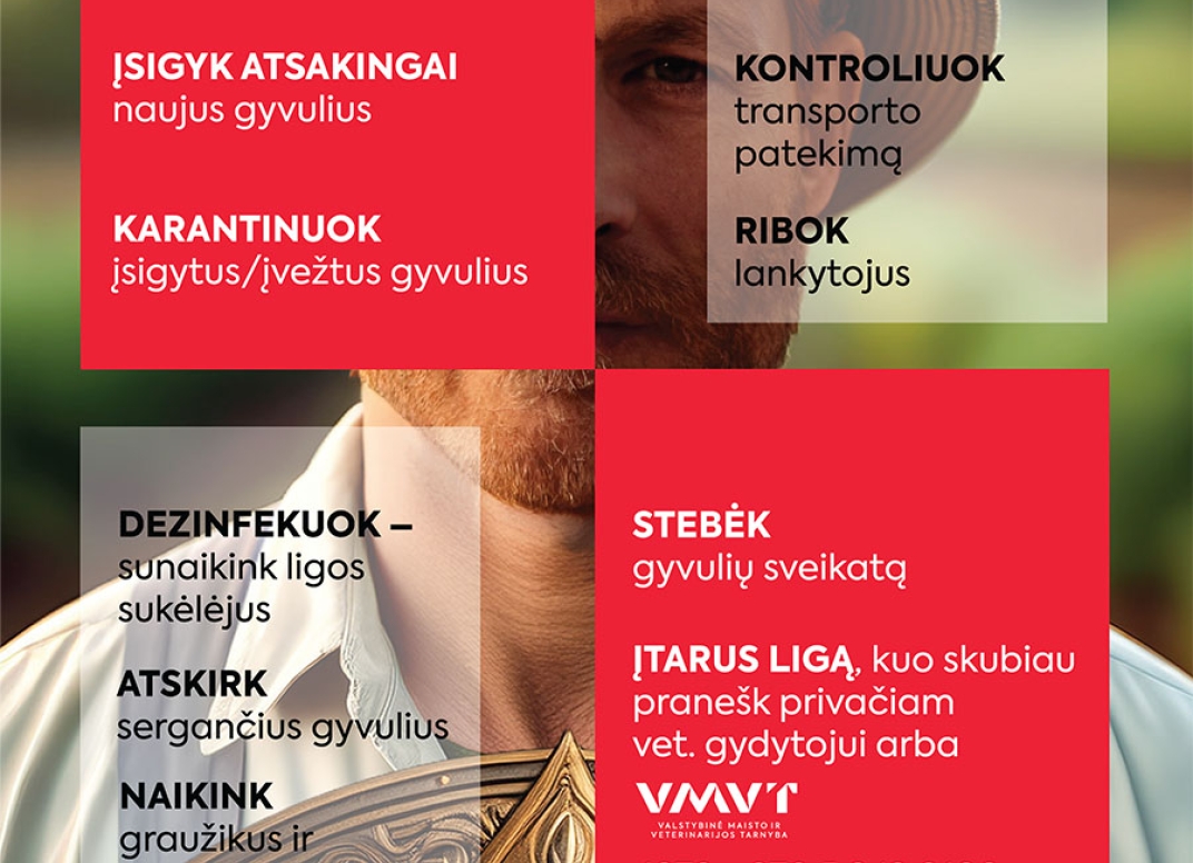 Straipsnio nuotrauka