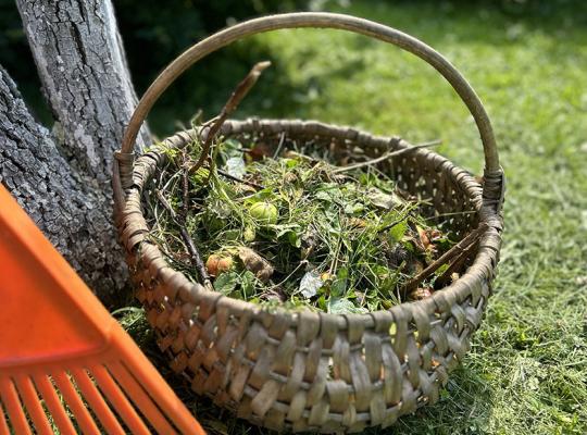 Rugpjūčio darbai: tinkamas žaliųjų atliekų tvarkymas