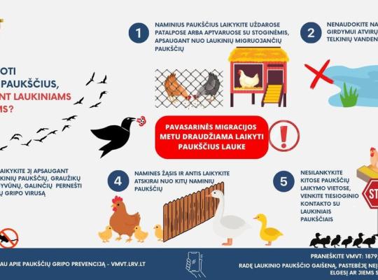 Lietuvoje – pirmasis šiemet paukščių gripo protrūkis