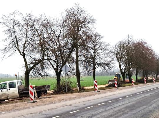 Dviračių takų plėtra Radviliškio rajone įgauna pagreitį