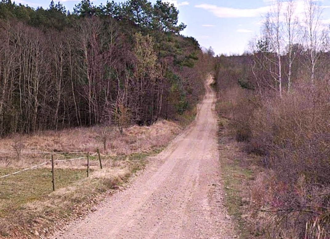 Straipsnio nuotrauka