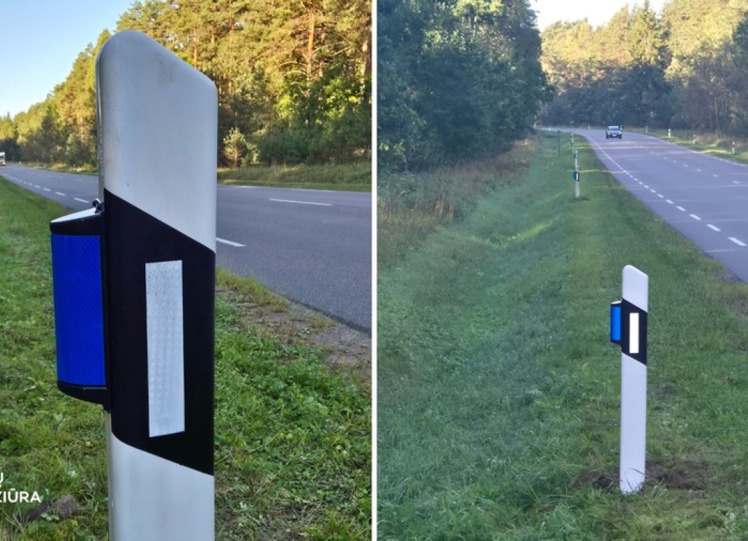 Straipsnio nuotrauka