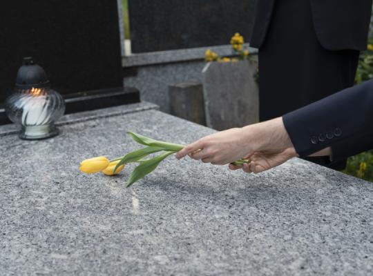 Kapų lankymo įpročiai: laikas atsisakyti plastikinių gėlių