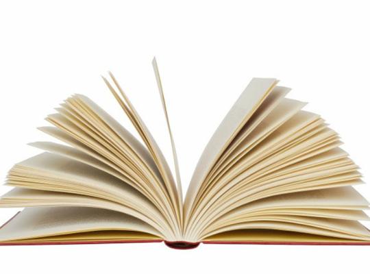 Skelbiamas Grožinės literatūros ir kitų Radviliškio rajono savivaldybei reikšmingų leidinių leidybos projektų dalinio finansavimo Radviliškio rajono savivaldybės biudžeto lėšomis konkursas 