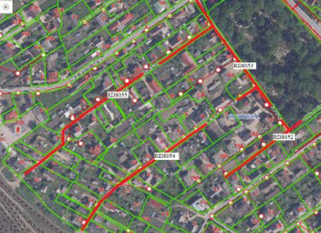 Straipsnio nuotrauka