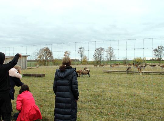 Pociūnėliečiai dešimtokai domėjosi danielių ūkiu