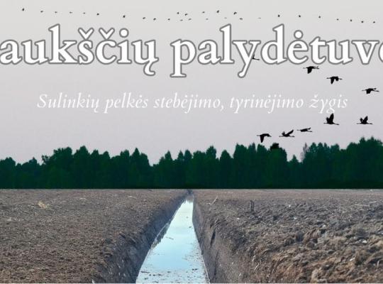 Paukščių palydėtuvės