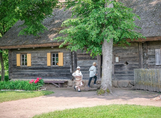 Straipsnio nuotrauka
