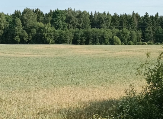 Asociatyvi nuotrauka