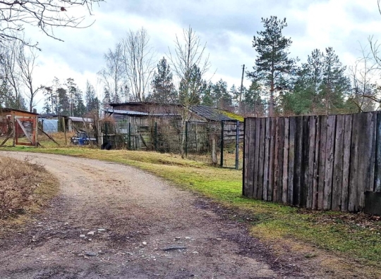 Straipsnio nuotrauka