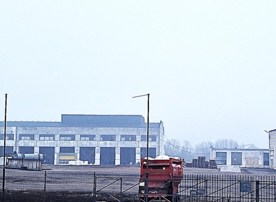 Straipsnio nuotrauka