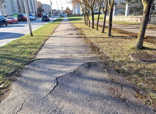 Straipsnio nuotrauka