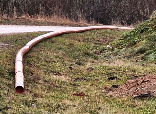 Straipsnio nuotrauka