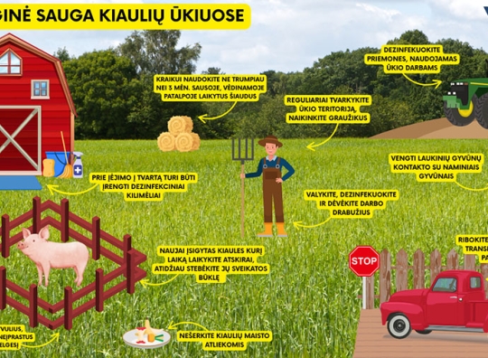 Straipsnio nuotrauka