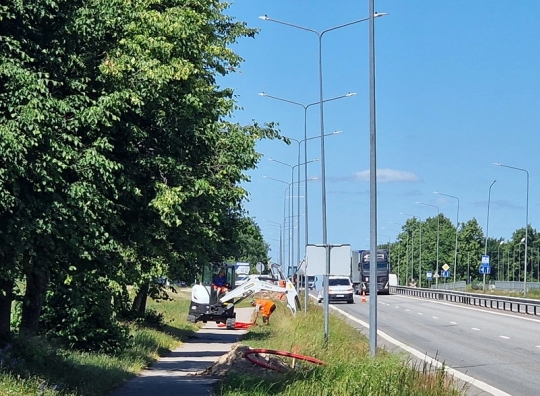 Straipsnio nuotrauka