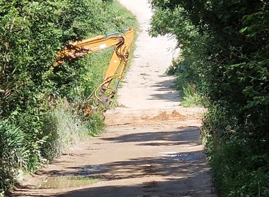 Straipsnio nuotrauka