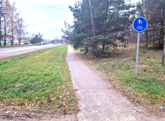 Straipsnio nuotrauka