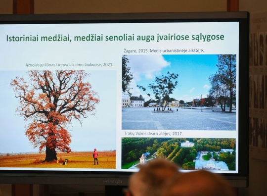 Straipsnio nuotrauka