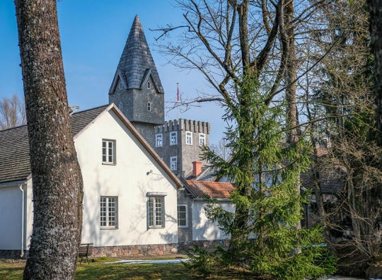 Straipsnio nuotrauka