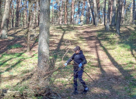Straipsnio nuotrauka