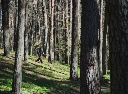 Straipsnio nuotrauka