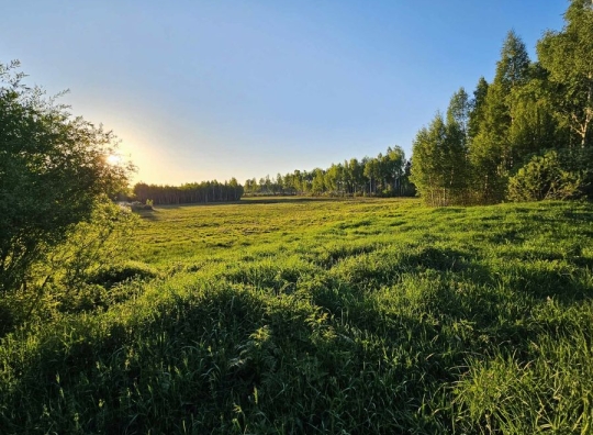 Straipsnio nuotrauka