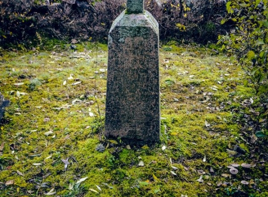 Straipsnio nuotrauka