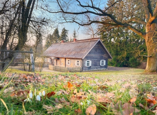 Straipsnio nuotrauka