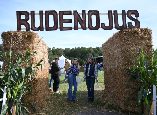 Straipsnio nuotrauka