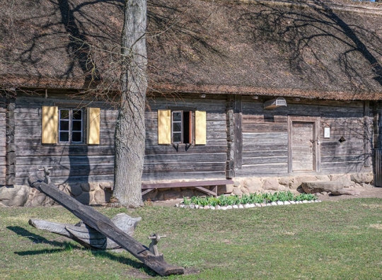 Straipsnio nuotrauka