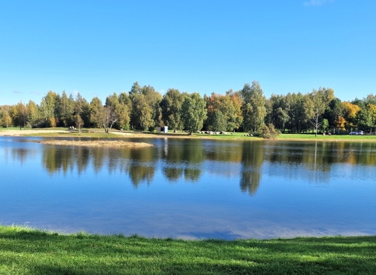 Straipsnio nuotrauka